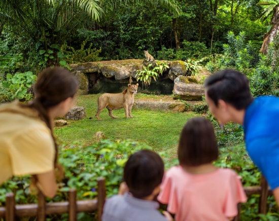 世界でも珍しい 柵のない動物園「シンガポール動物園」入場チケット＜トラム乗車可 / 朝食なし or 動物たちとの朝食付きプランあり＞